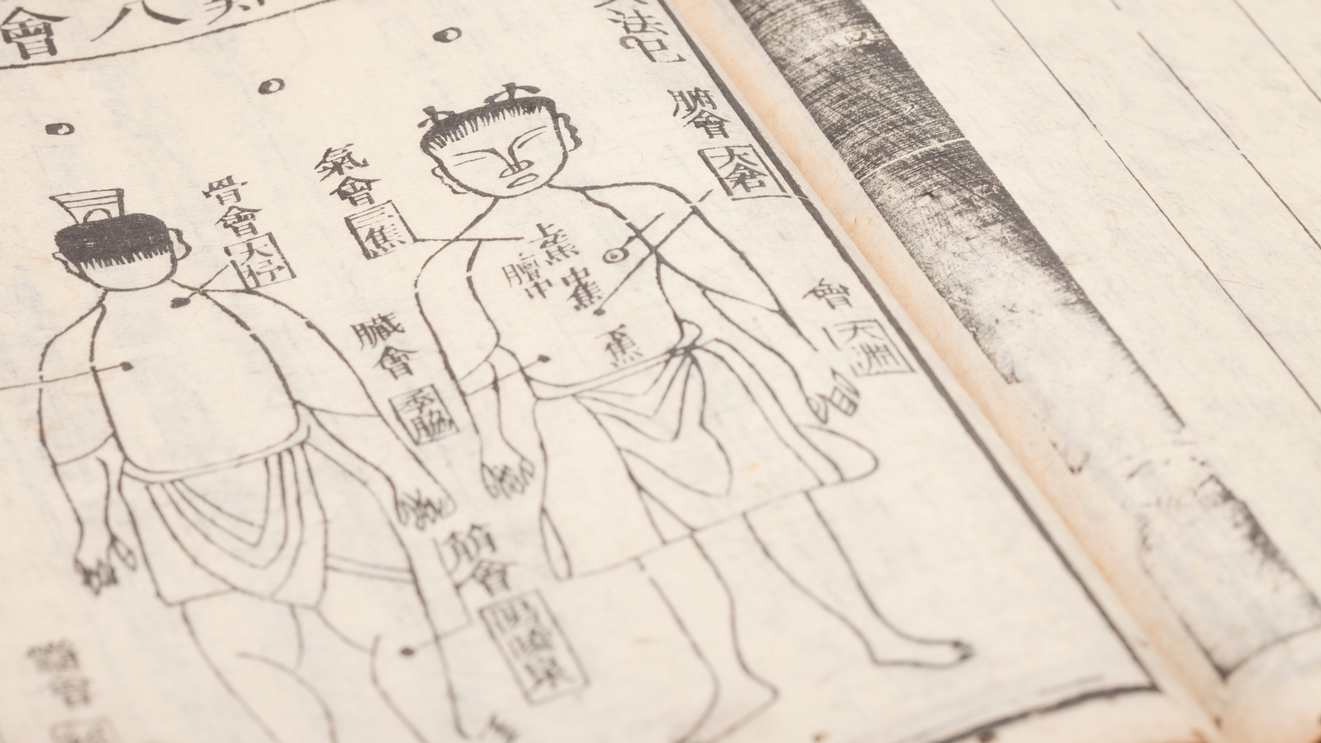 Design sans titre 2025 09 22T102411.338 | Hankar Harmony Center, Votre centre en Traitement Traditionnel Chinois