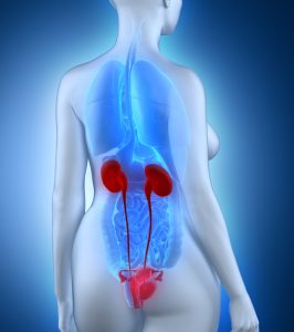 Menopause et medecine chinoise harmony center 266x300 1 | Hankar Harmony Center, Votre centre en Traitement Traditionnel Chinois